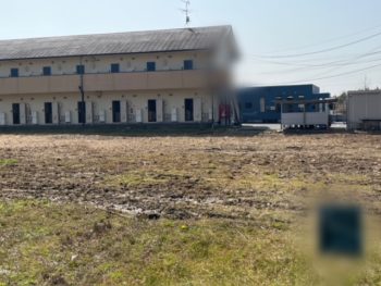常滑市　伐採・抜根工事